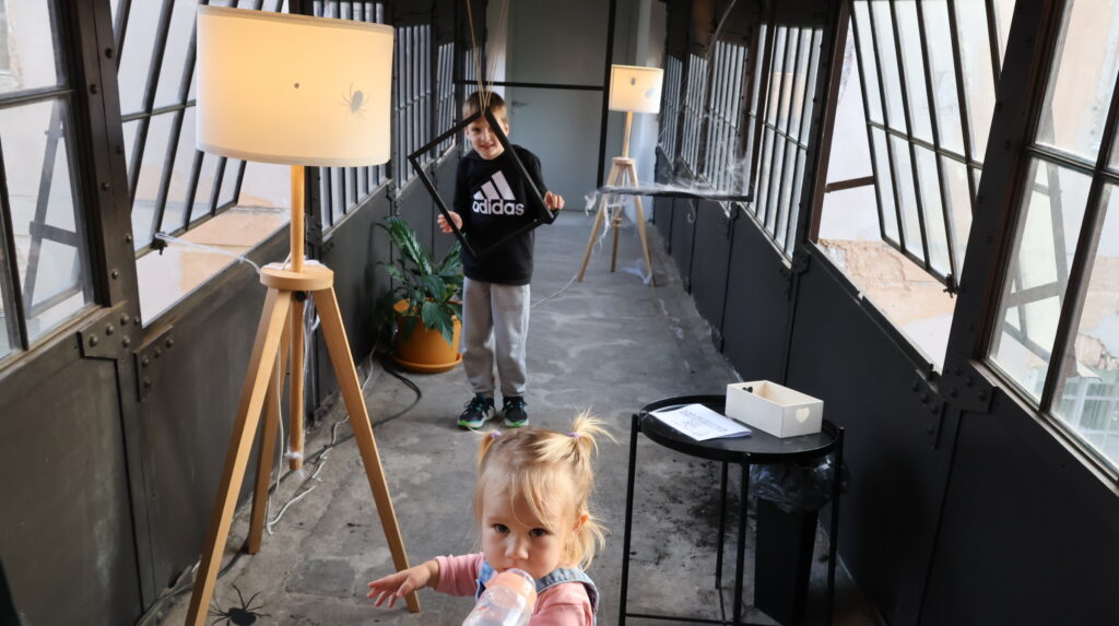 IMG_5803-1-1024x573.jpg