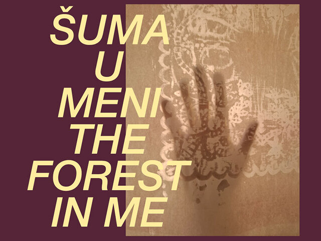 Šuma u meni [Darija Žmak Kunić]