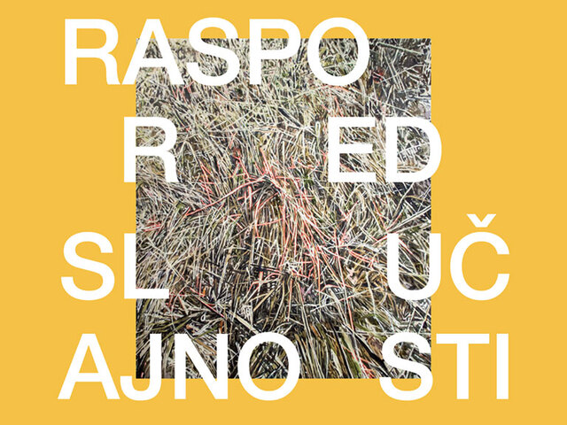 Raspored slučajnosti [Radovan Kunić]