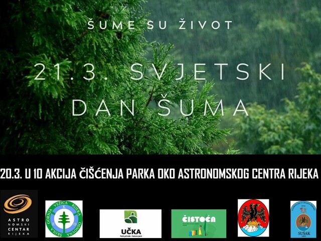 Svjetski-dan-suma.jpg